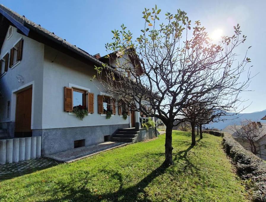 House Pucnk-Beautiful Countryside Villa Zelezniki Buitenkant foto