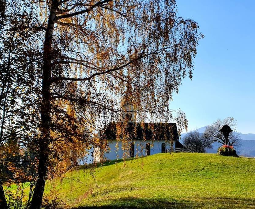 House Pucnk-Beautiful Countryside Villa Zelezniki Buitenkant foto