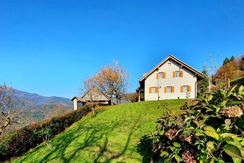 House Pucnk-Beautiful Countryside Villa Zelezniki Buitenkant foto